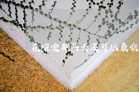 花呗逾期两天还可以最低还款吗 花呗逾期两天还可以最低还款吗