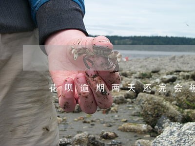 花呗逾期两天还完会被封吗 花呗逾期两天还完会被封吗