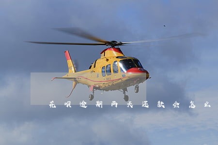 花呗逾期两天还款会怎么样吗 花呗逾期两天还款会怎么样吗