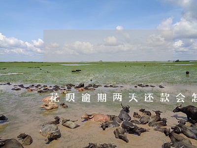 花呗逾期两天还款会怎样 花呗逾期两天还款会怎样
