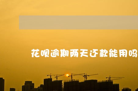 花呗逾期两天还款能用吗 花呗逾期两天还款能用吗