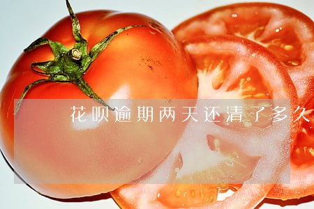 花呗逾期两天还清了多久清除记录 花呗逾期两天还清了多久清除记录