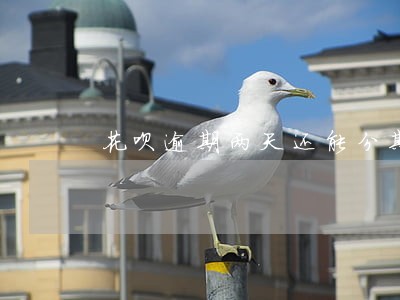 花呗逾期两天还能分期吗 花呗逾期两天还能分期吗