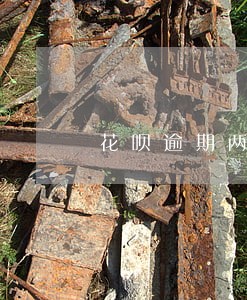 花呗逾期两天还进去可以再用嘛 花呗逾期两天还进去可以再用嘛