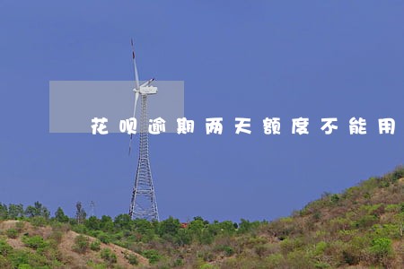 花呗逾期两天额度不能用了 花呗逾期两天额度不能用了
