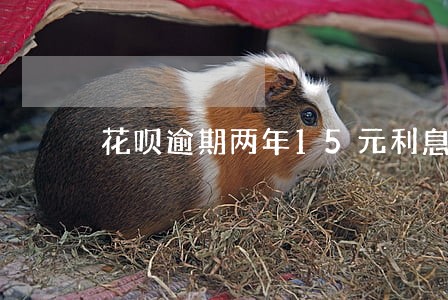花呗逾期两年15元利息怎么算 花呗逾期两年15元利息怎么算