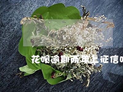 花呗逾期两年上征信吗 花呗逾期两年上征信吗