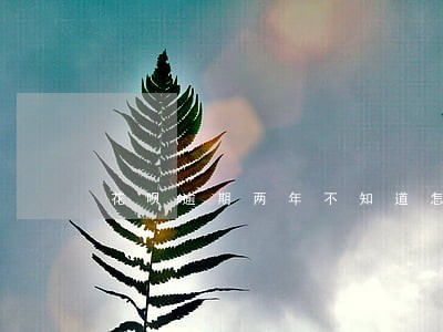 花呗逾期两年不知道怎么还款 花呗逾期两年不知道怎么还款