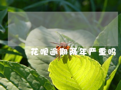 花呗逾期两年严重吗 花呗逾期两年严重吗