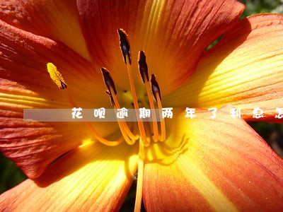 花呗逾期两年了利息怎么算利息