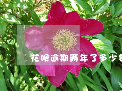 花呗逾期两年了多少钱 花呗逾期两年了多少钱