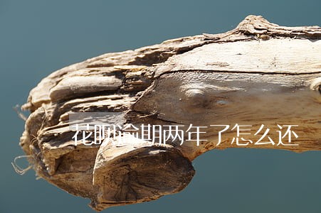 花呗逾期两年了怎么还 花呗逾期两年了怎么还