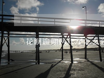 花呗逾期两年了怎么还款
