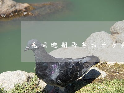 花呗逾期两年六千多会上门吗 花呗逾期两年六千多会上门吗