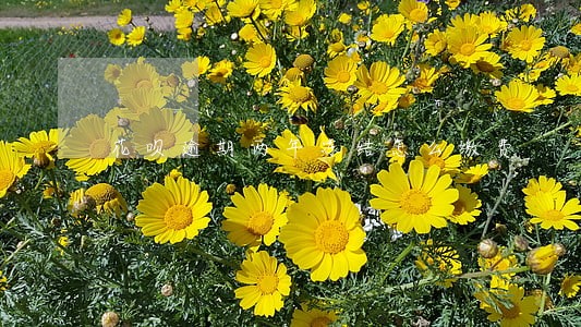花呗逾期两年冻结怎么缴费 花呗逾期两年冻结怎么缴费