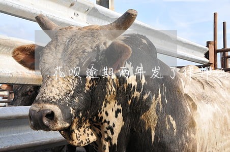 花呗逾期两年发了律师函到老家 花呗逾期两年发了律师函到老家