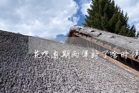 花呗逾期两年封了啥时候解封 花呗逾期两年封了啥时候解封