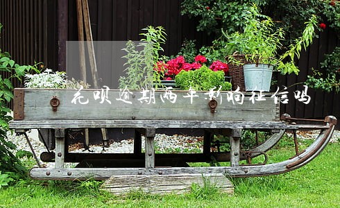 花呗逾期两年影响征信吗 花呗逾期两年影响征信吗