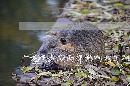 花呗逾期两年影响找工作吗 花呗逾期两年影响找工作吗