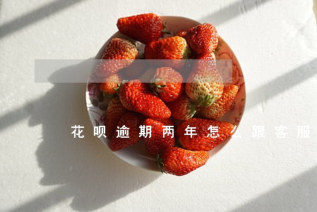 花呗逾期两年怎么跟客服协商 花呗逾期两年怎么跟客服协商