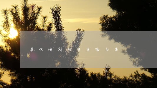 花呗逾期两年有啥后果 花呗逾期两年有啥后果