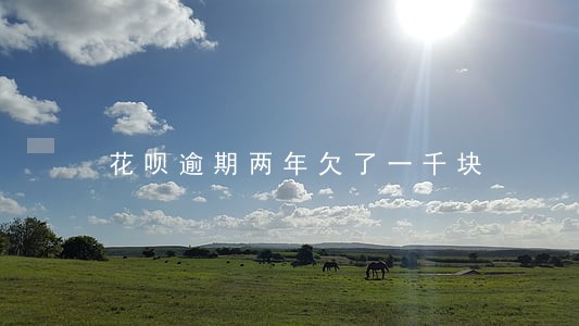 花呗逾期两年欠了一千块