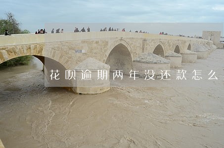 花呗逾期两年没还款怎么办