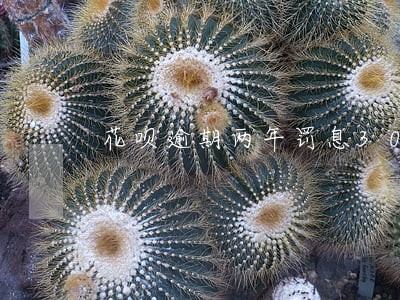 花呗逾期两年罚息3000多 花呗逾期两年罚息3000多