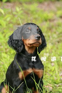 花呗逾期两年能坐飞机吗 花呗逾期两年能坐飞机吗