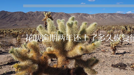 花呗逾期两年还上了多久恢复征信 花呗逾期两年还上了多久恢复征信