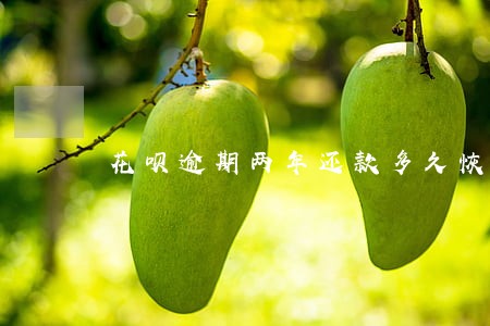 花呗逾期两年还款多久恢复 花呗逾期两年还款多久恢复