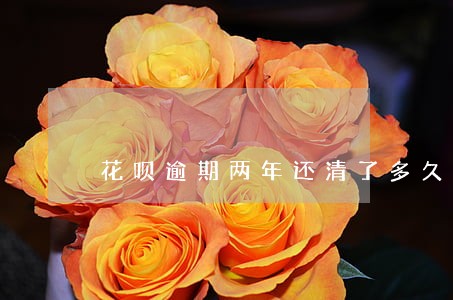 花呗逾期两年还清了多久恢复额度 花呗逾期两年还清了多久恢复额度