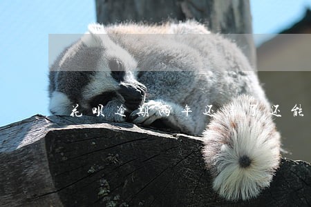 花呗逾期两年还清了还能用吗 花呗逾期两年还清了还能用吗