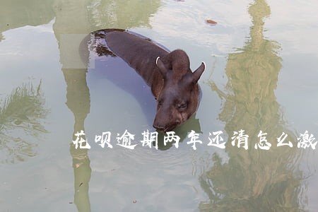 花呗逾期两年还清怎么激活