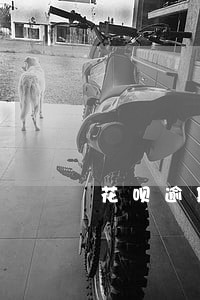 花呗逾期两年还能用嘛 花呗逾期两年还能用嘛