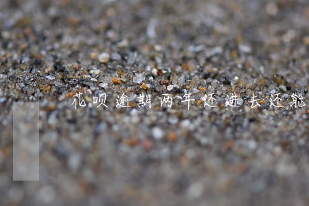 花呗逾期两年还进去还能用吗 花呗逾期两年还进去还能用吗