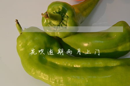 花呗逾期两月上门 花呗逾期两月上门