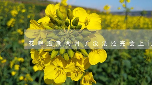 花呗逾期两月了没法还完会上门吗 花呗逾期两月了没法还完会上门吗