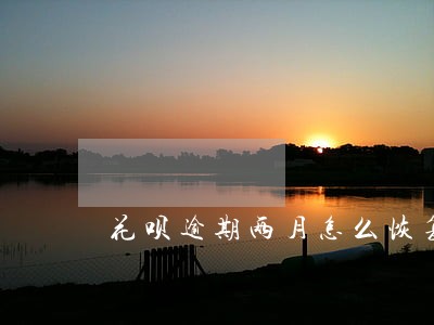 花呗逾期两月怎么恢复 花呗逾期两月怎么恢复