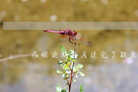 花呗逾期两月还完了额度会降吗 花呗逾期两月还完了额度会降吗
