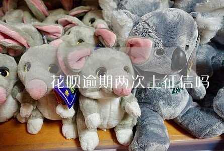 花呗逾期两次上征信吗 花呗逾期两次上征信吗