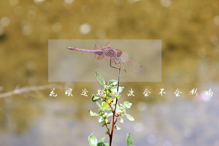 花呗逾期两次会不会影响按揭买房 花呗逾期两次会不会影响按揭买房