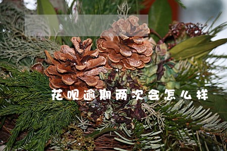 花呗逾期两次会怎么样 花呗逾期两次会怎么样