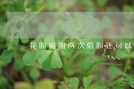花呗逾期两次借呗还可以用吗