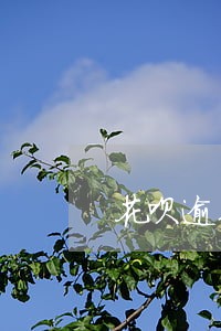 花呗逾期两次有事吗 花呗逾期两次有事吗