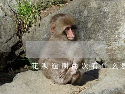花呗逾期两次有什么影响 花呗逾期两次有什么影响