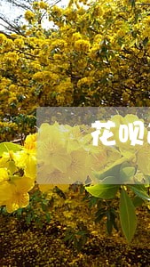 花呗逾期两百块的后果 花呗逾期两百块的后果