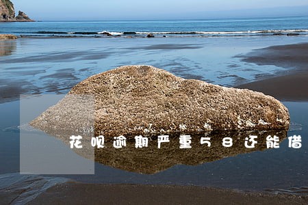 花呗逾期严重58还能借钱嘛 花呗逾期严重58还能借钱嘛