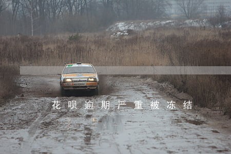 花呗逾期严重被冻结 花呗逾期严重被冻结