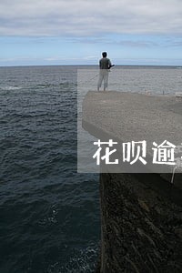 花呗逾期严重还是备用金严重 花呗逾期严重还是备用金严重